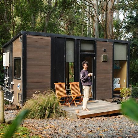 Pekapeka Tiny House By Tiny Away Villa Owaka Dış mekan fotoğraf